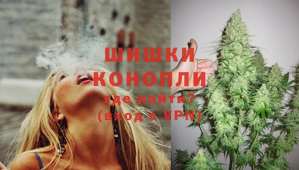 ГАЛЛЮЦИНОГЕННЫЕ ГРИБЫ Дмитровск
