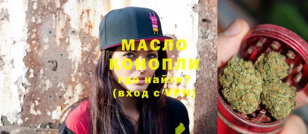 мет Дмитров
