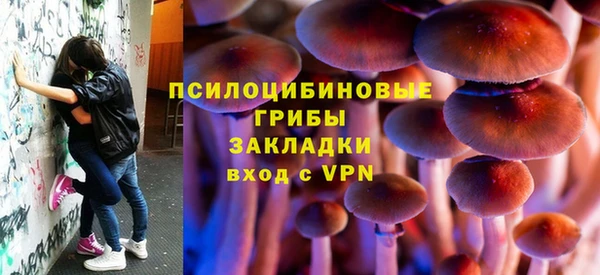 хмурый Дмитриев