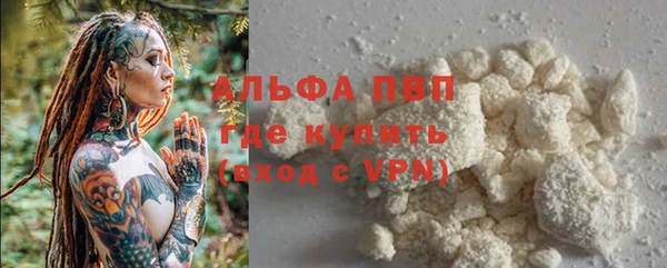 хмурый Дмитриев