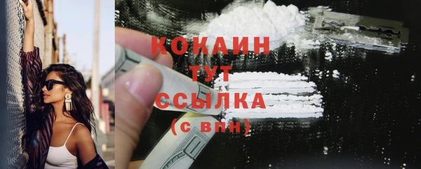 мет Дмитров