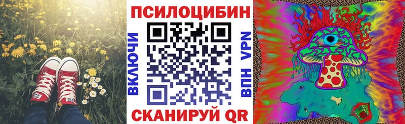 Купить где  Медвежьегорск  Псилоцибиновые грибы Psilocybe 
